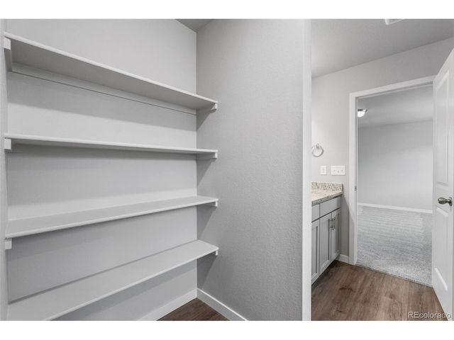 736 N Carrie Ct, Watkins, CO 80137