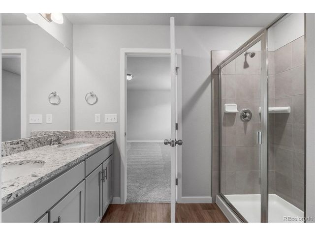 736 N Carrie Ct, Watkins, CO 80137