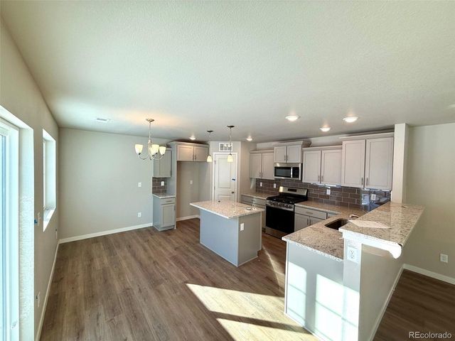 736 N Carrie Ct, Watkins, CO 80137