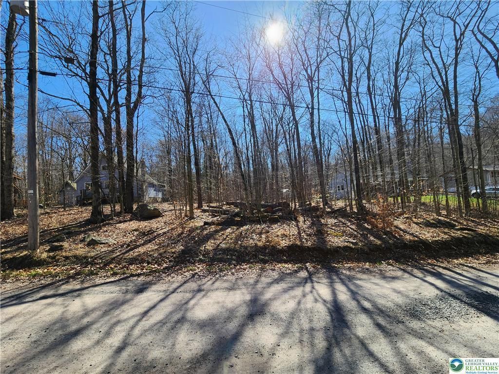 284 Delaware Trail, Tobyhanna Twp, PA 18347
