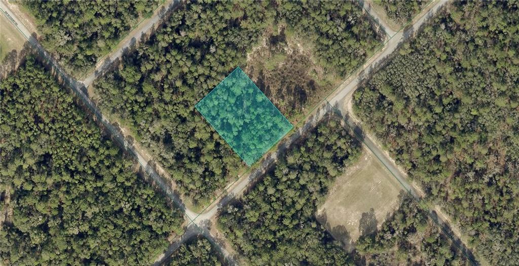 172ND PLACE ROAD, Ocala, FL 34473