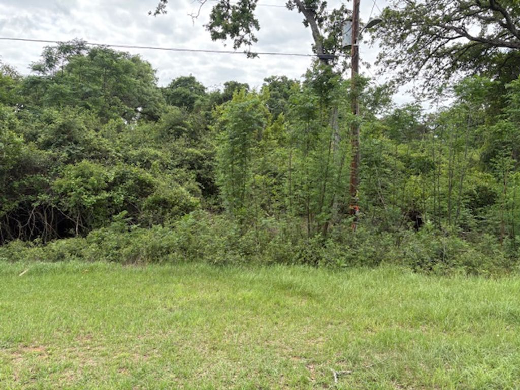 TBD Arnold Palmer Lane S, Normangee, TX 77871 — exterior
