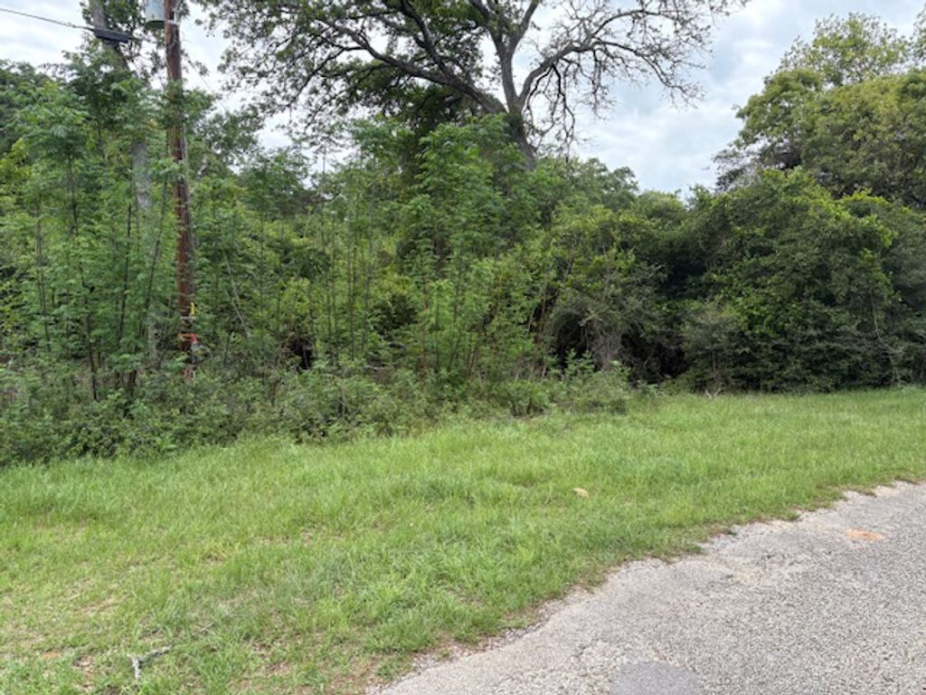 TBD Arnold Palmer Lane S, Normangee, TX 77871 — photo 2
