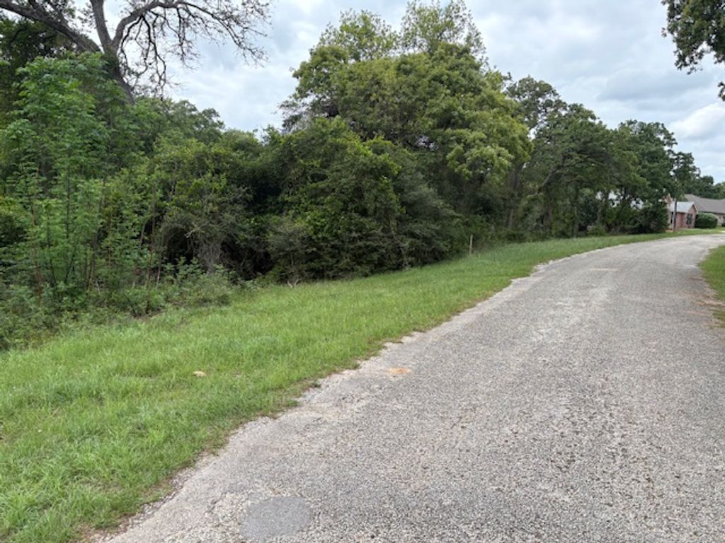 TBD Arnold Palmer Lane S, Normangee, TX 77871 — photo 3