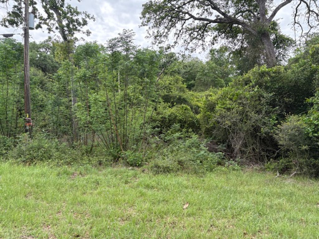 TBD Arnold Palmer Lane S, Normangee, TX 77871 — photo 4