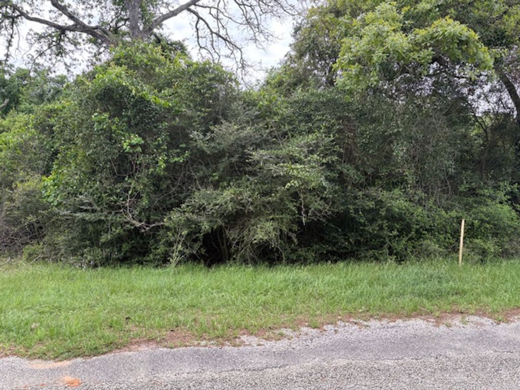 TBD Arnold Palmer Lane S, Normangee, TX 77871 — photo 5