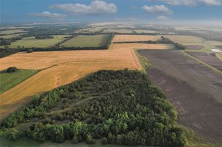 TDB Fm-137, Roxton, TX 75477