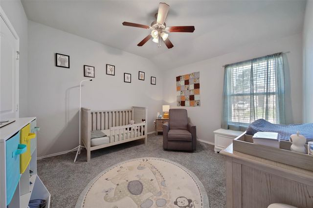3325 Jagged Crow Lane, Conroe, TX 77301