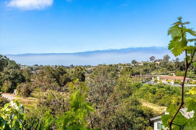 248 Coneflower Street, Encinitas, CA 92024