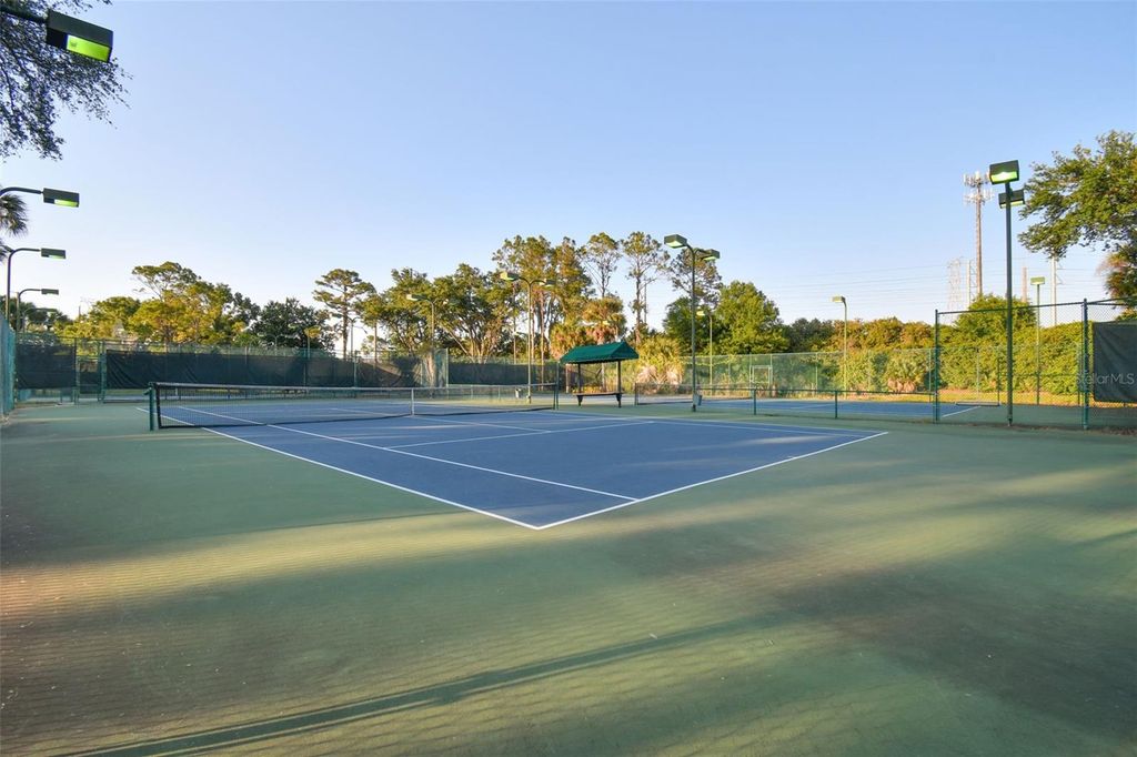 Image 58 of property listing at 4910 EBENSBURG DRIVE, Tampa, FL 33647