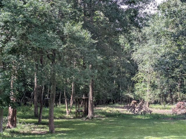 28235 Lazy Rock Drive, Houston, TX 77336