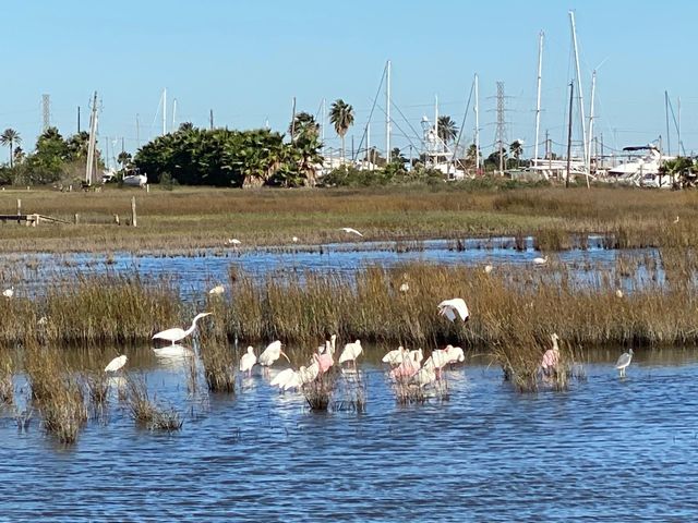 9115 West Bay Road, Galveston, TX 77554