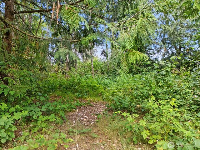 0 Rouse Road SW, Longbranch, WA 98351