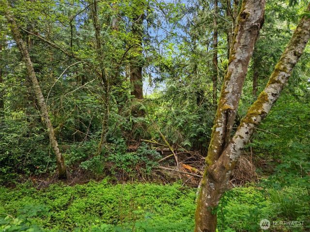 0 Rouse Road SW, Longbranch, WA 98351