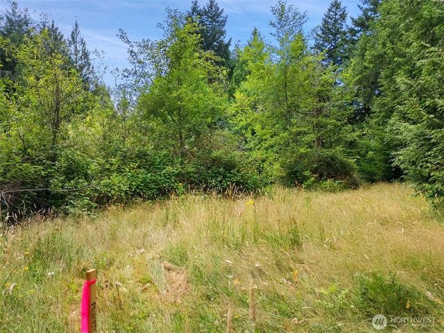 0 Rouse Road SW, Longbranch, WA 98351