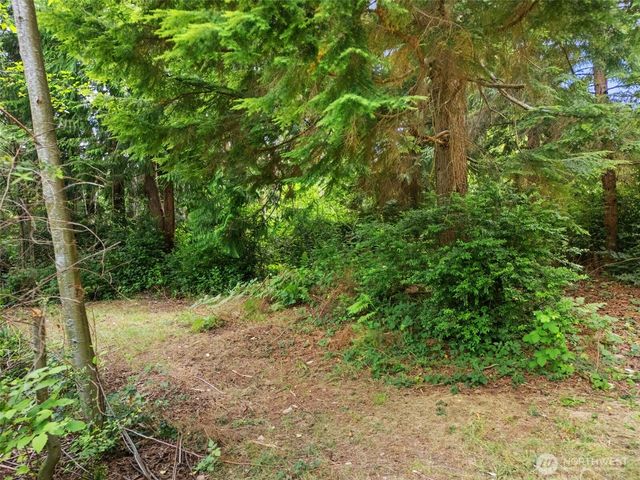 0 Rouse Road SW, Longbranch, WA 98351