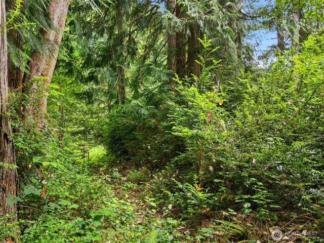 0 Rouse Road SW, Longbranch, WA 98351