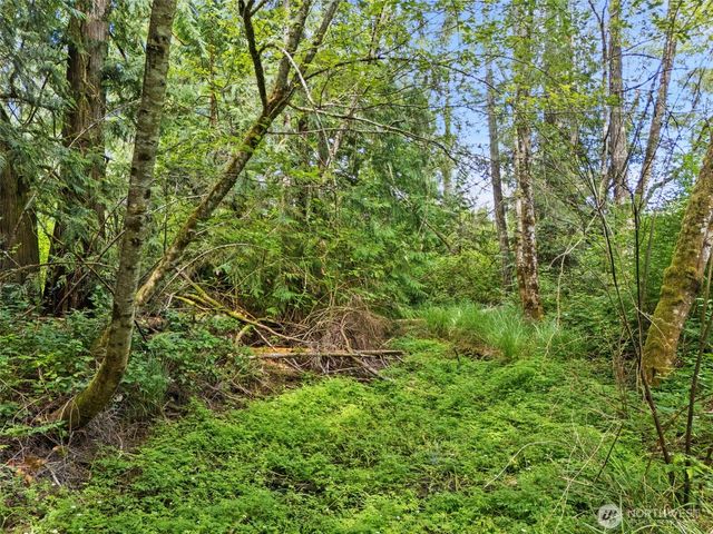 0 Rouse Road SW, Longbranch, WA 98351
