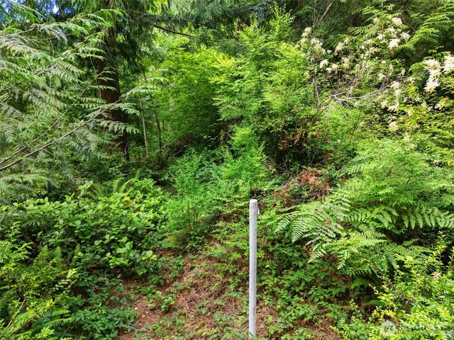 0 Rouse Road SW, Longbranch, WA 98351