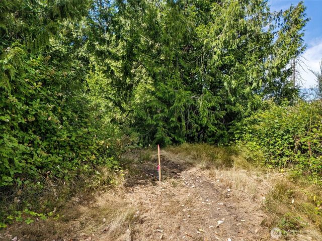 0 Rouse Road SW, Longbranch, WA 98351