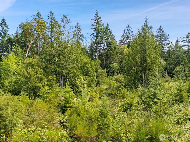 0 Rouse Road SW, Longbranch, WA 98351