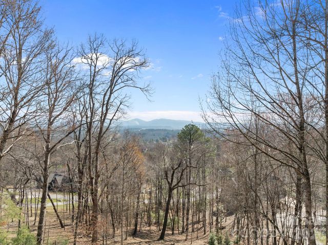 1105 High Vista Drive, Mills River, NC 28759