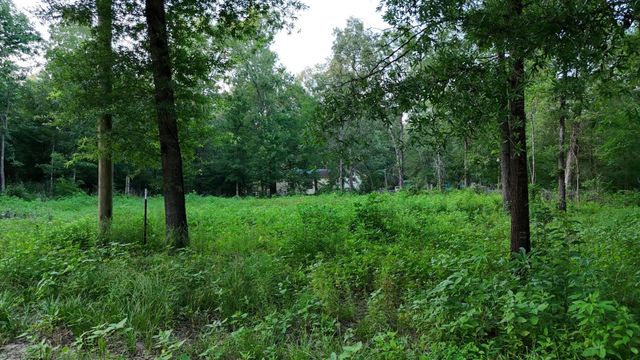 235 Panther Lane, Livingston, TX 77351