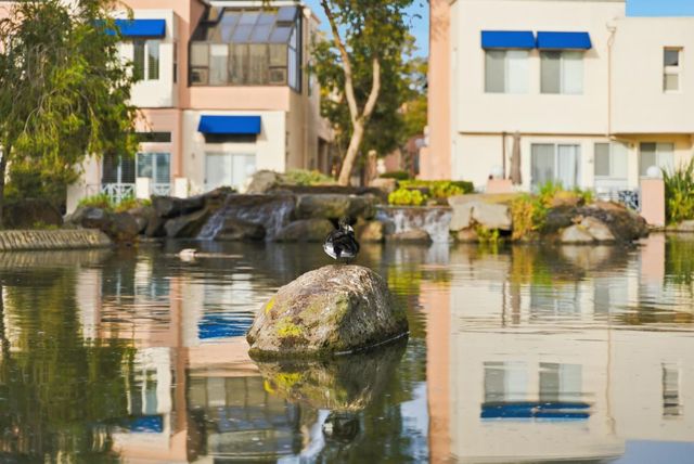 852 Lakeshore Drive, Redwood City, CA 94065