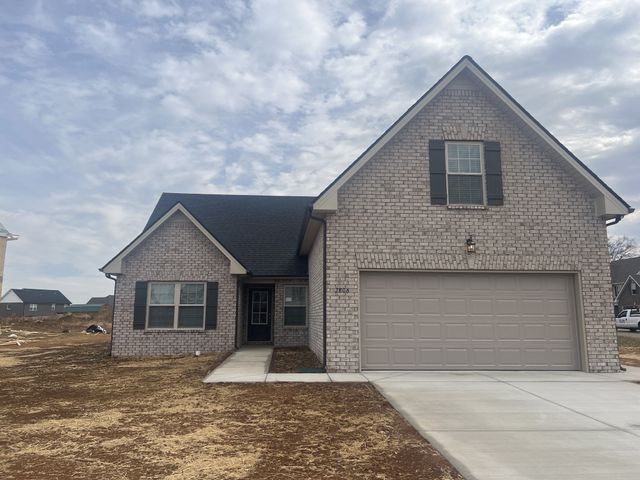 3184 Dusenburg Dr, Christiana, TN 37037