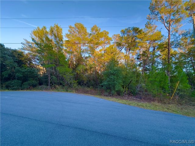 7741 N Oasis Point, Citrus Springs, FL 34433