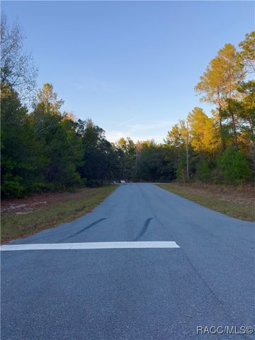 7741 N Oasis Point, Citrus Springs, FL 34433