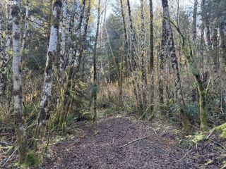 0 HILLTOP Dr 601, Lakeside, OR 97449