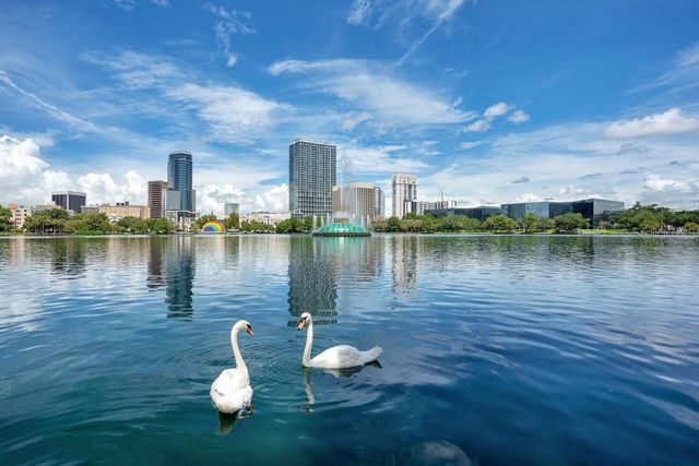 151 E WASHINGTON STREET 217, Orlando, FL 32801