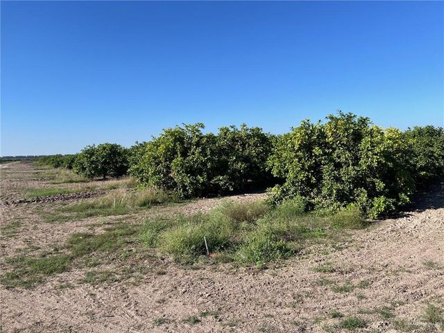 001 S Cage Boulevard, Pharr, TX 78577