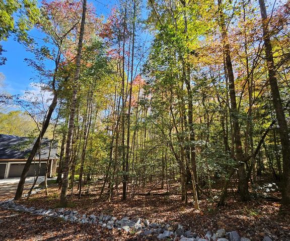 167 Happy Valley Lane, Morganton, GA 30560