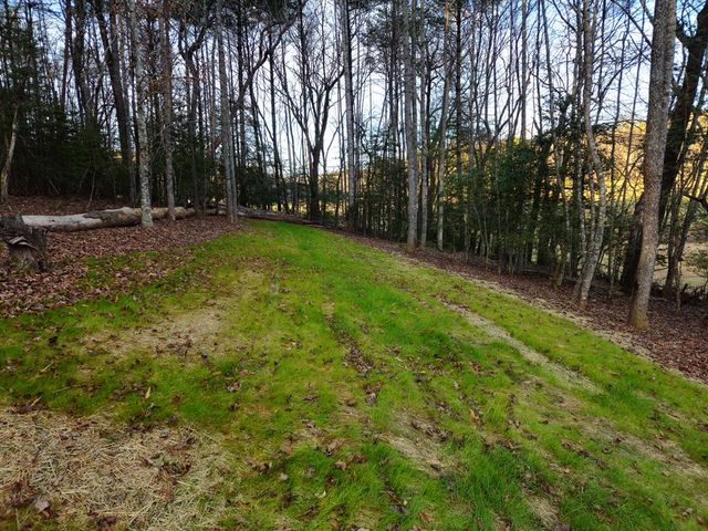 167 Happy Valley Lane, Morganton, GA 30560