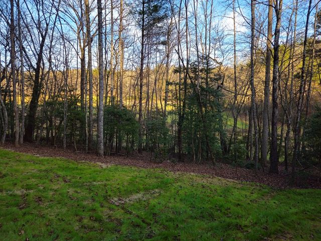 167 Happy Valley Lane, Morganton, GA 30560