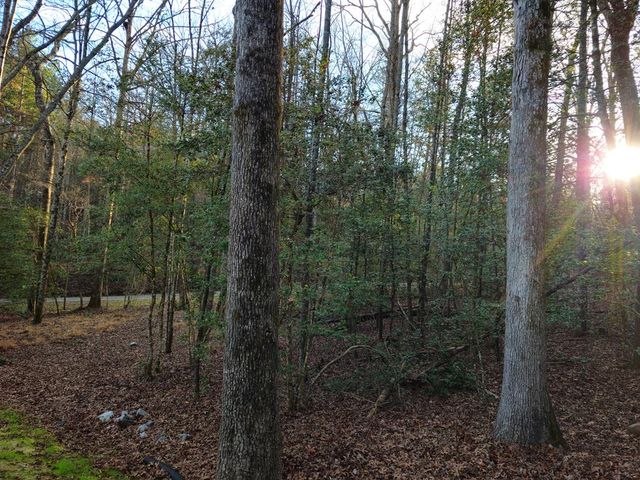 167 Happy Valley Lane, Morganton, GA 30560