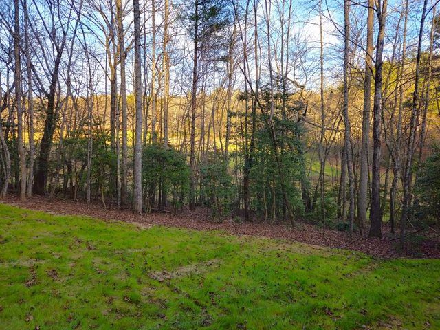 167 Happy Valley Lane, Morganton, GA 30560