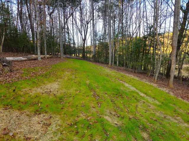 167 Happy Valley Lane, Morganton, GA 30560