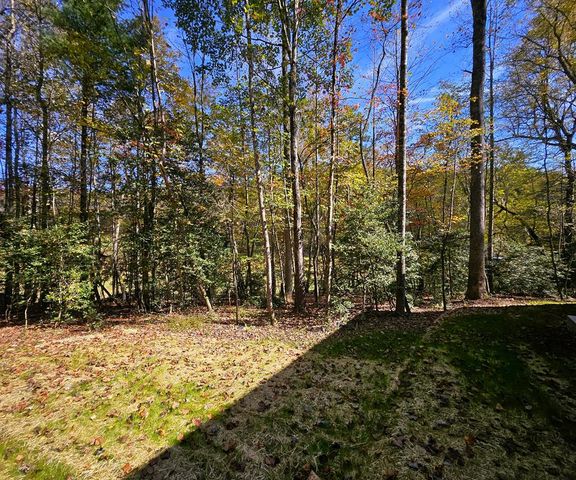 167 Happy Valley Lane, Morganton, GA 30560