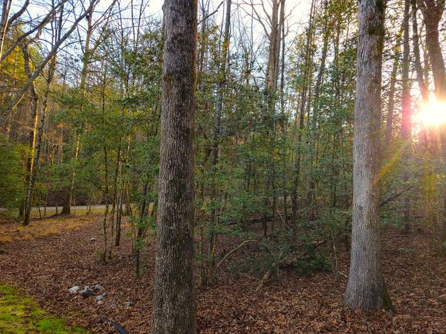 167 Happy Valley Lane, Morganton, GA 30560