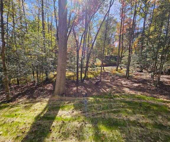 167 Happy Valley Lane, Morganton, GA 30560