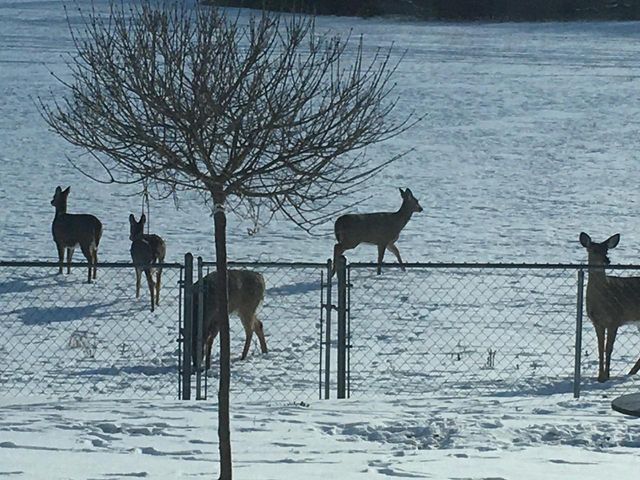 3128 CONCORDIA LANE, Green Bay, WI 54311