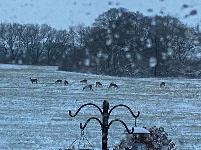 3128 CONCORDIA LANE, Green Bay, WI 54311