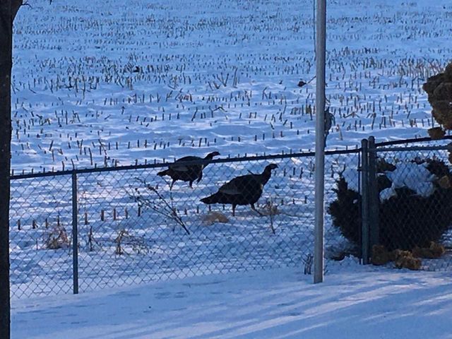 3128 CONCORDIA LANE, Green Bay, WI 54311