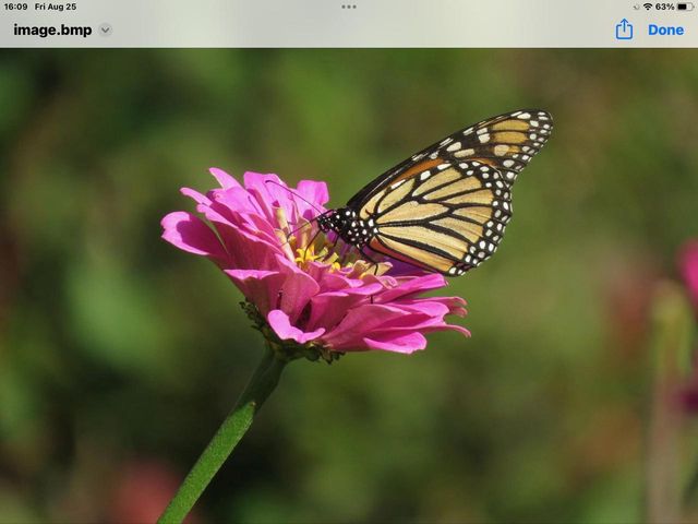 3128 CONCORDIA LANE, Green Bay, WI 54311