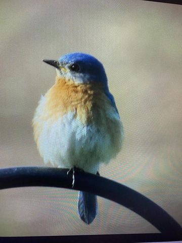 3128 CONCORDIA LANE, Green Bay, WI 54311