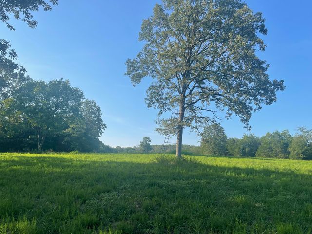 518 Nave Ferry Road, Protem, MO 65733