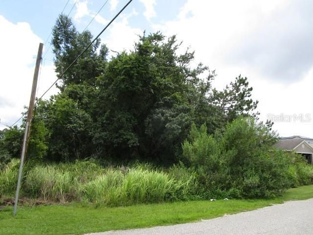 103 HERRING LANE, Poinciana, FL 34759